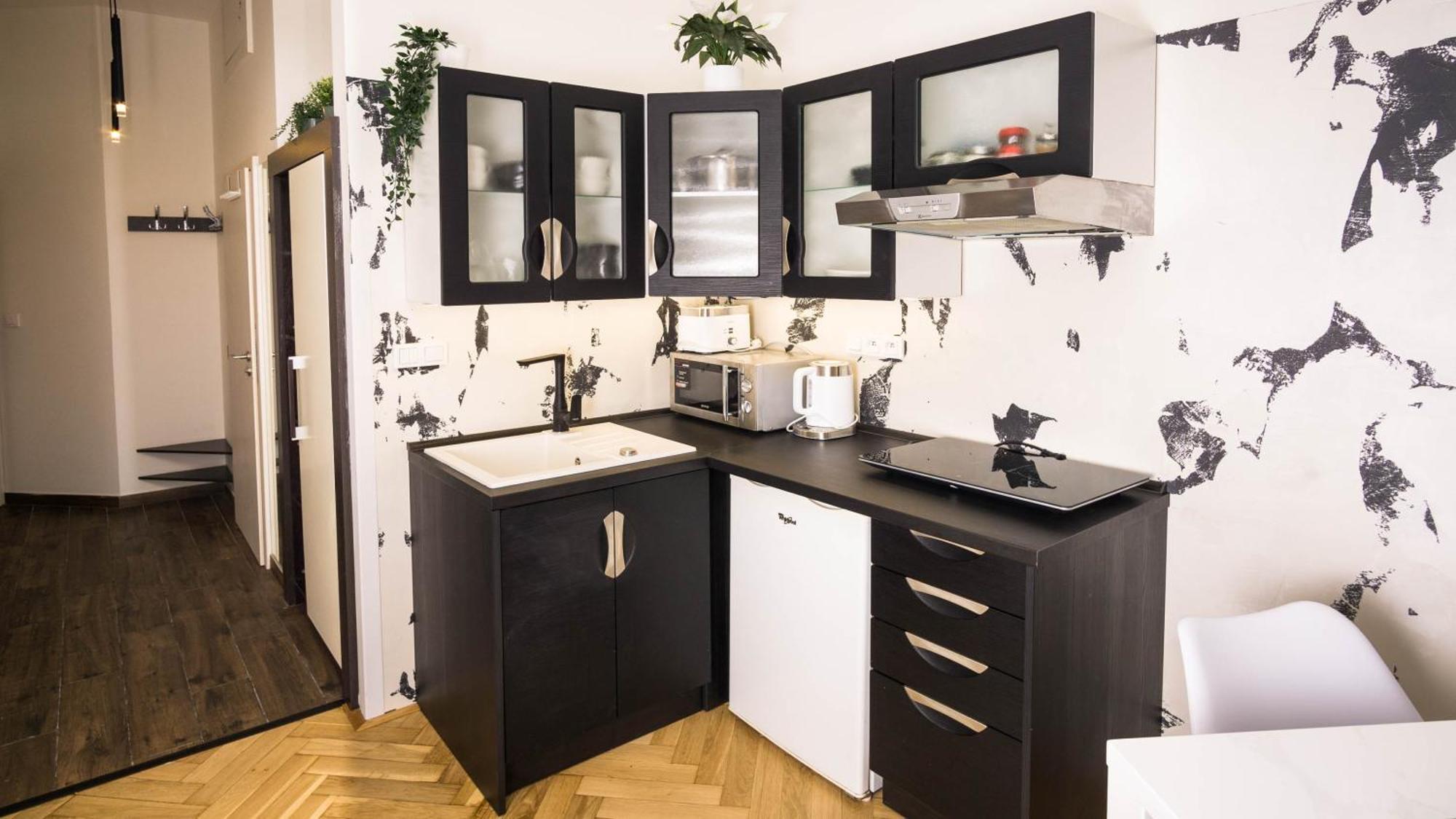 Black & White Apartment Prague By Wenceslas Square And Muzeum Apartamento Praga